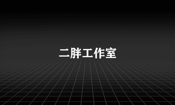 二胖工作室