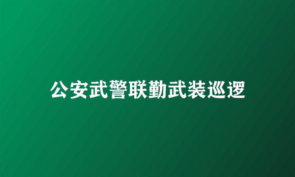 公安武警联勤武装巡逻