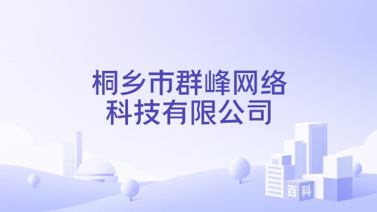 桐乡市群峰网络科技有限公司