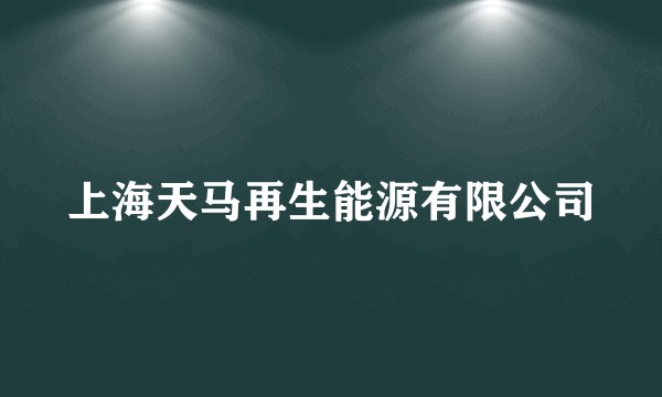 上海天马再生能源有限公司