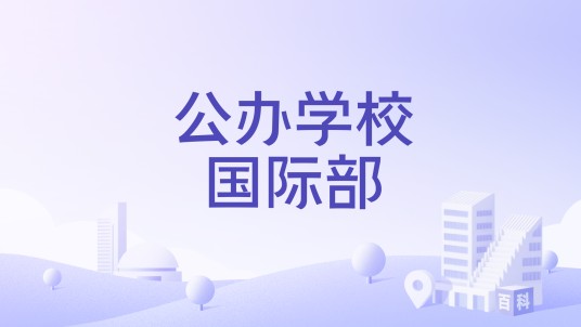 公办学校国际部