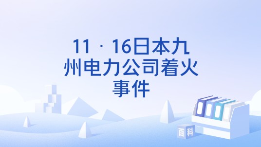 11·16日本九州电力公司着火事件