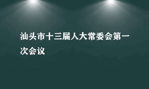 汕头市十三届人大常委会第一次会议