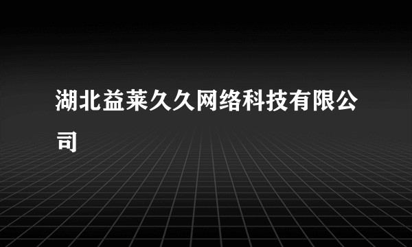湖北益莱久久网络科技有限公司