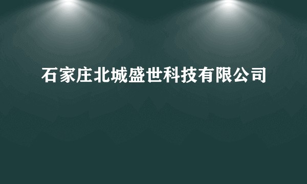 石家庄北城盛世科技有限公司