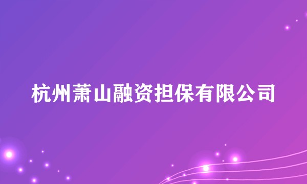杭州萧山融资担保有限公司