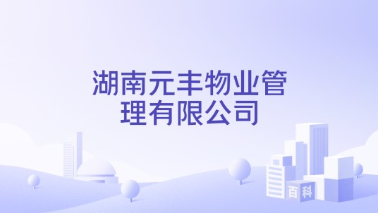 湖南元丰物业管理有限公司
