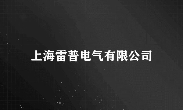 上海雷普电气有限公司