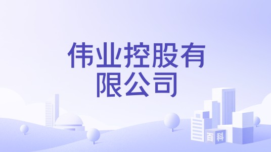 伟业控股有限公司
