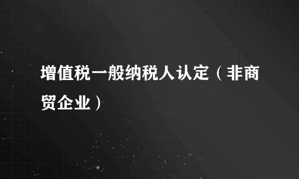 增值税一般纳税人认定（非商贸企业）