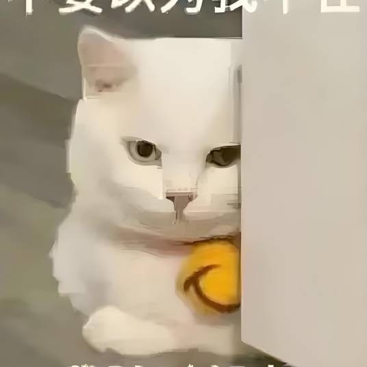 策划大师孙空空