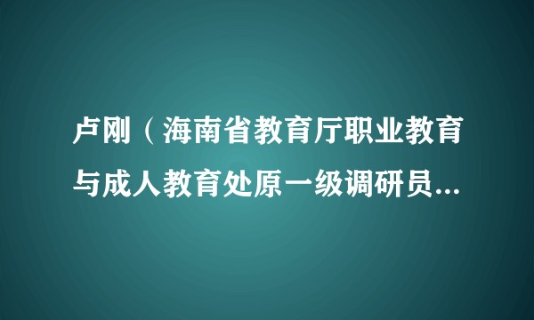 卢刚(海南省教育厅职业教育与成人教育处原一级调研员、定安县委原常委)