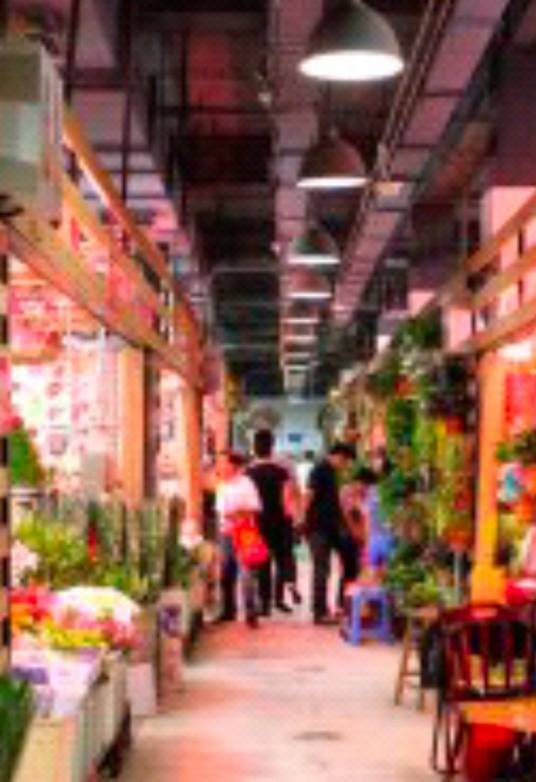 北市场花鸟鱼市场