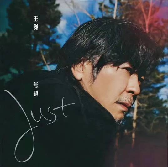 她走了（王杰创作并演唱的歌曲）