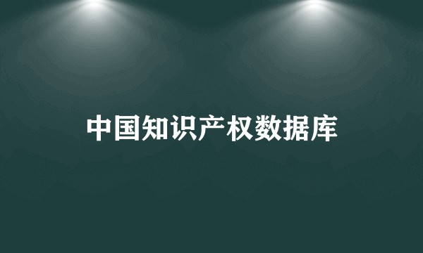 中国知识产权数据库