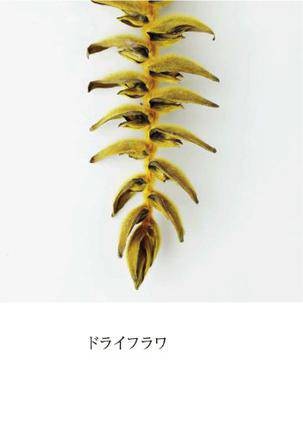 ドライフラワー（佐野和宏导演的一部电影）