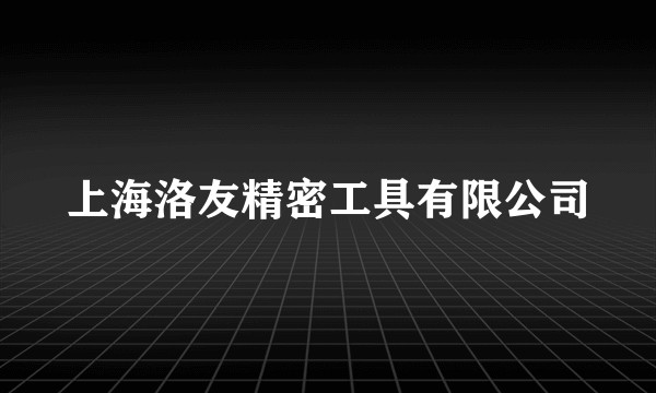 上海洛友精密工具有限公司