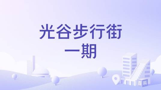 光谷步行街一期