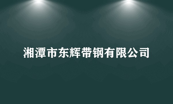 湘潭市东辉带钢有限公司