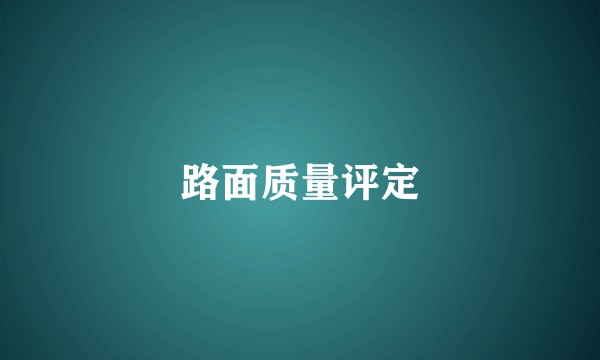 路面质量评定