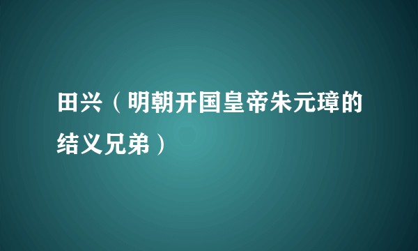 田兴（明朝开国皇帝朱元璋的结义兄弟）
