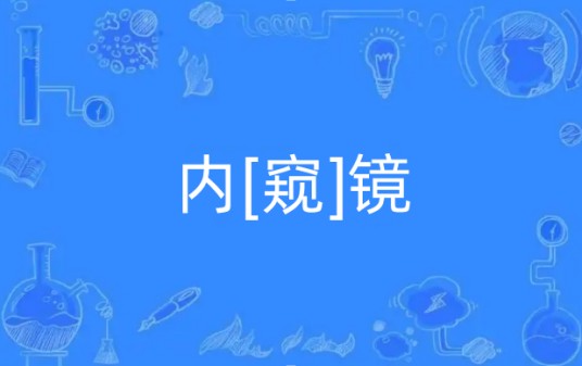 内[窥]镜