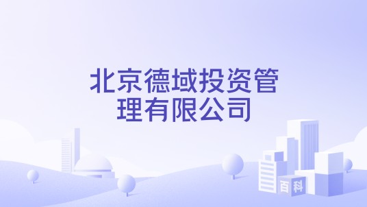北京德域投资管理有限公司