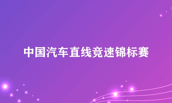 中国汽车直线竞速锦标赛
