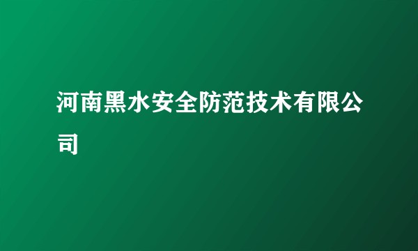河南黑水安全防范技术有限公司