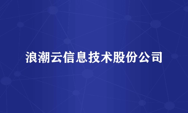 浪潮云信息技术股份公司