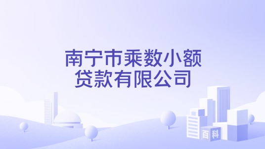 南宁市乘数小额贷款有限公司