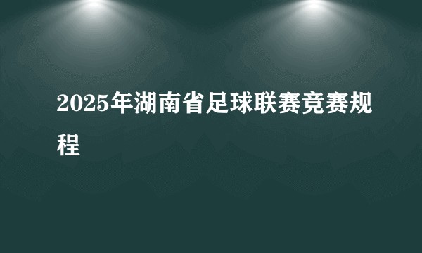 2025年湖南省足球联赛竞赛规程