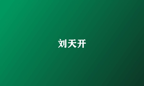 刘天开