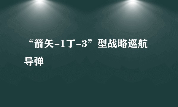 “箭矢-1丁-3”型战略巡航导弹