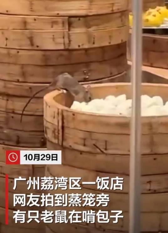 10·29广州饭店老鼠啃包子事件