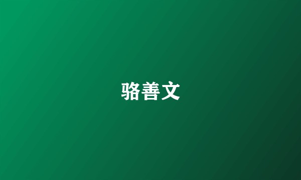 骆善文