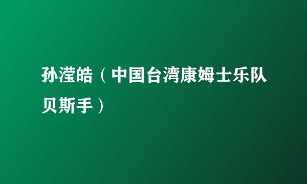 孙滢皓（中国台湾康姆士乐队贝斯手）