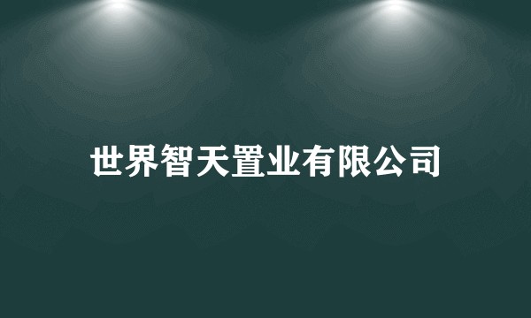 世界智天置业有限公司