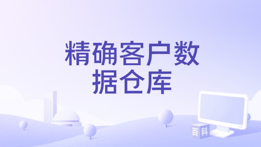 精确客户数据仓库