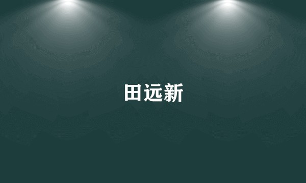 田远新