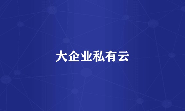大企业私有云