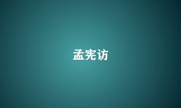 孟宪访