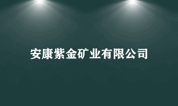 安康紫金矿业有限公司