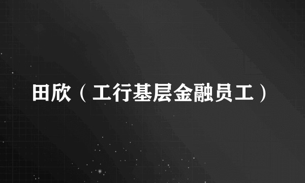 田欣（工行基层金融员工）