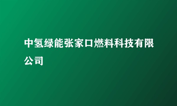 中氢绿能张家口燃料科技有限公司