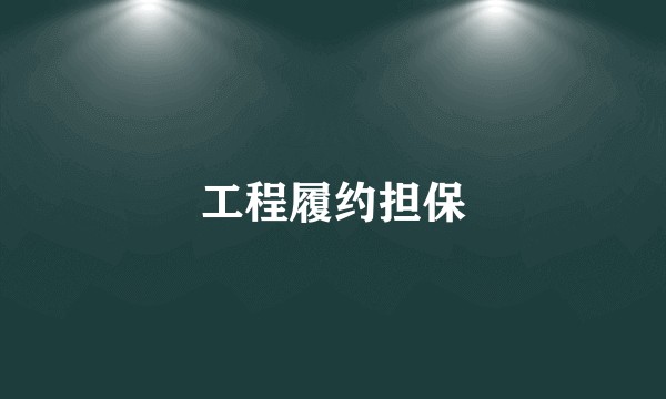 工程履约担保