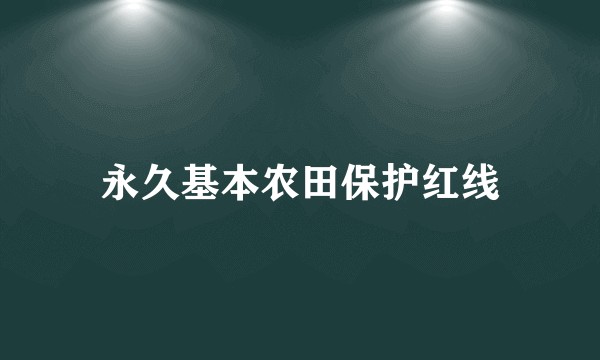永久基本农田保护红线