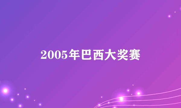 2005年巴西大奖赛
