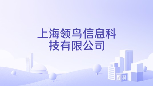 上海领鸟信息科技有限公司