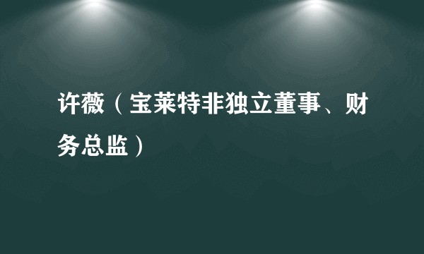 许薇（宝莱特非独立董事、财务总监）